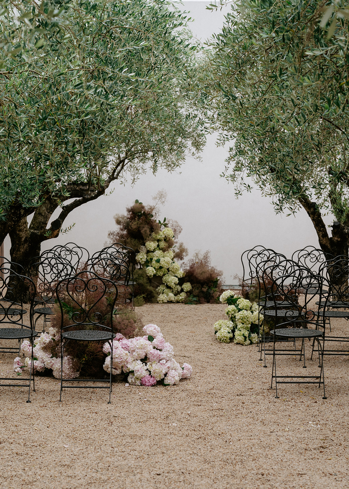 Fontana Floral &mdash; Wedding ceremony with hydrangeas under olive trees at The Dairy Ravensbourne