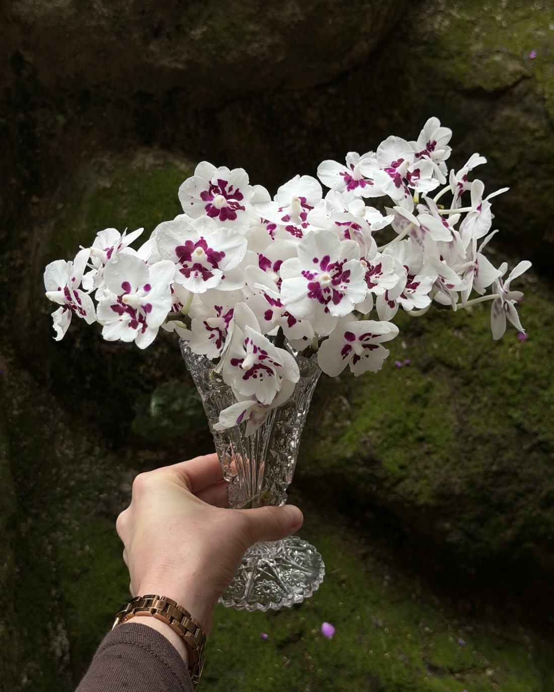 Flowers in a glass vessel