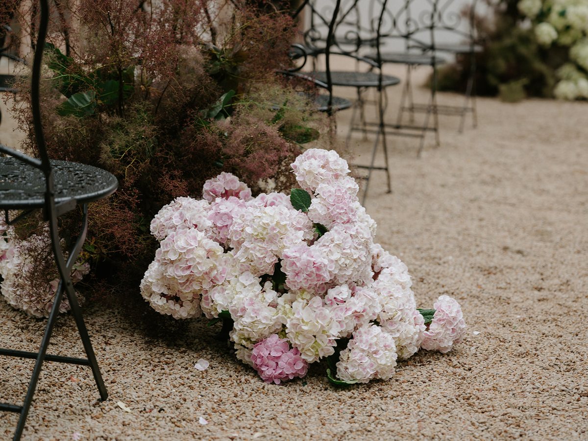 Petals and blooms