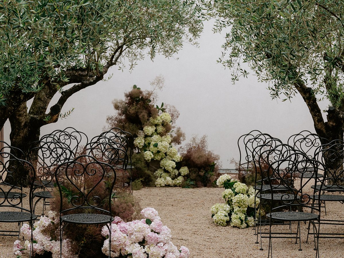 Ceremony among olive trees
